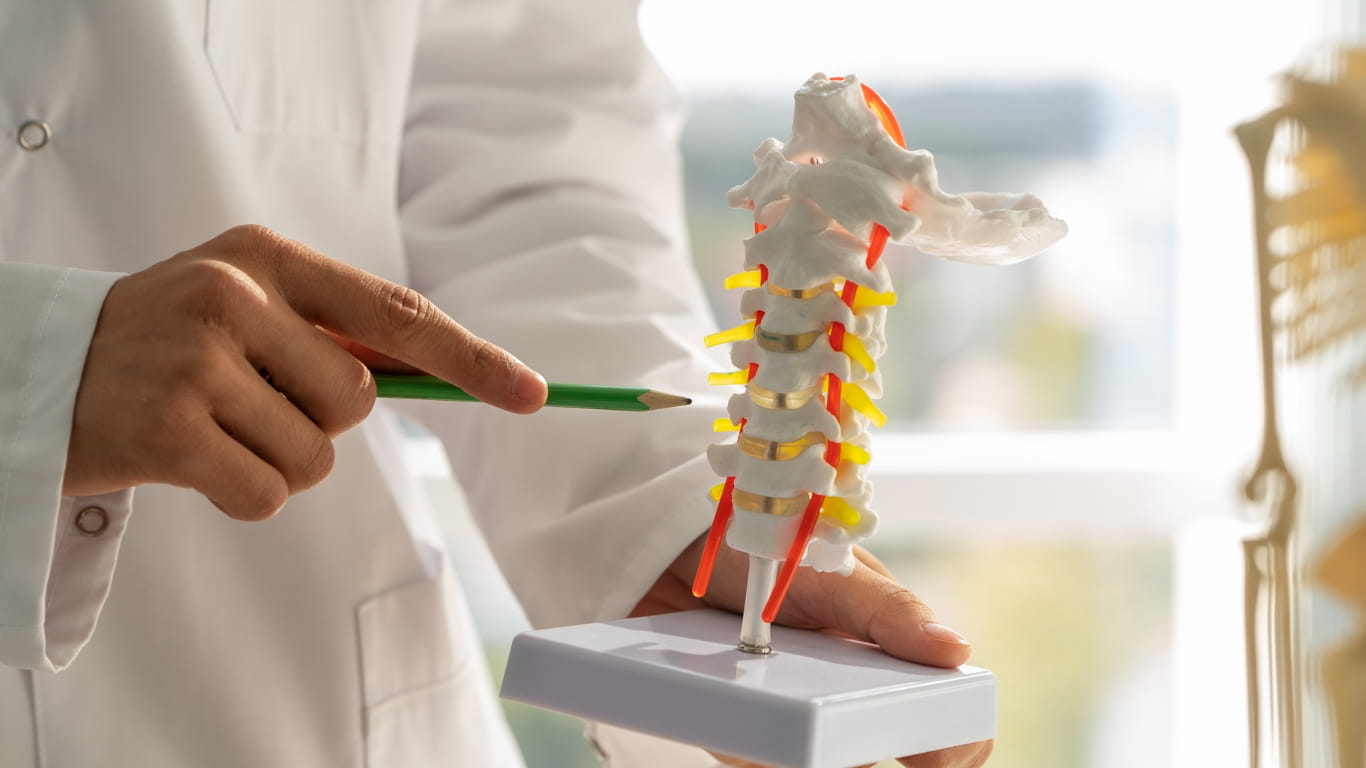What Are the Causes of Spinal Stenosis